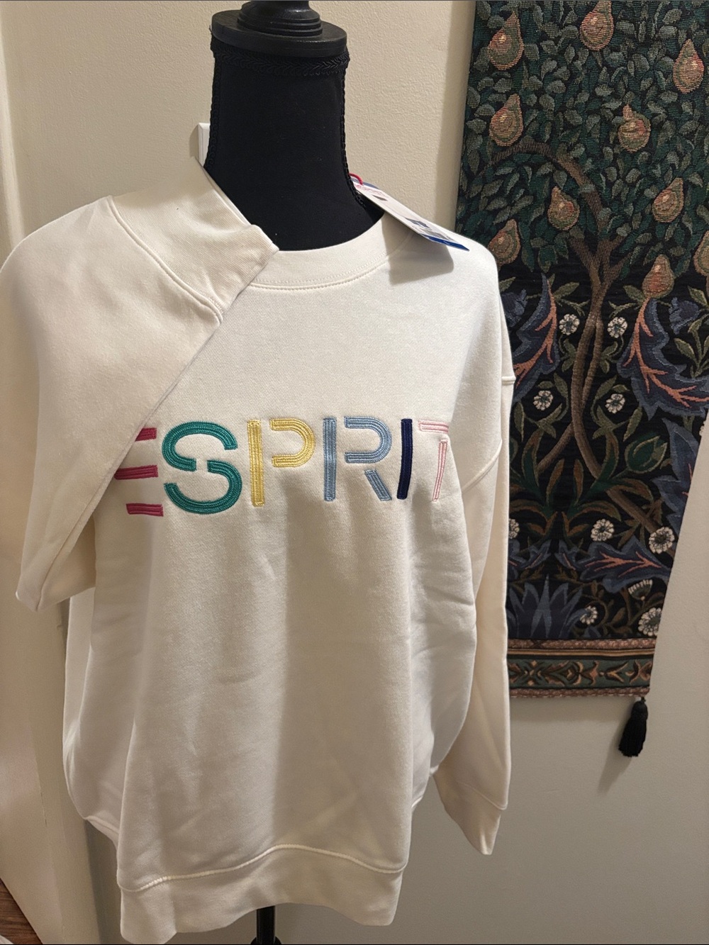 NWT Esprit Sweatshirt Viral Costco L